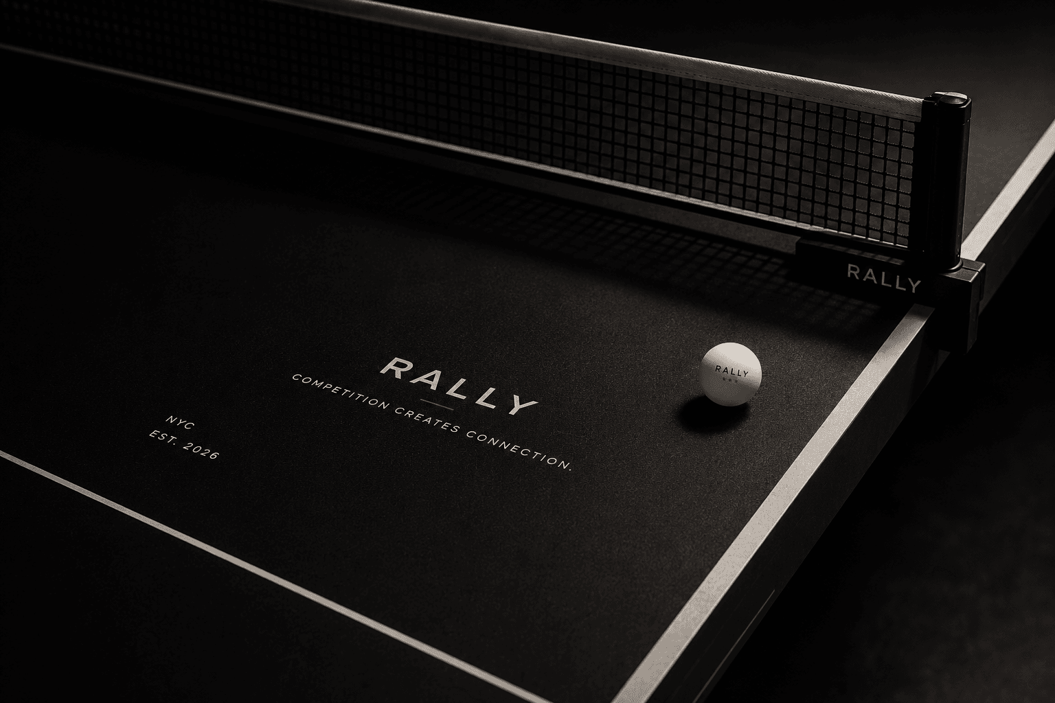 Rally table detail with net and ball